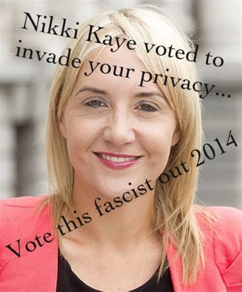 Reason Nikki Kaye Wont Win Central Auckland The Daily Blog