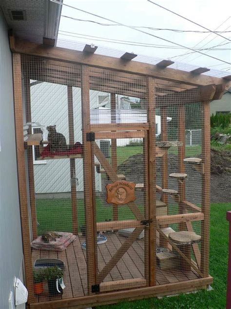 There are 21 cat enclosure outdoor for sale. Pin on Cat enclosure