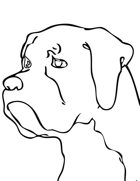 Boxer Puppy Coloring Pages at GetColorings.com | Free printable