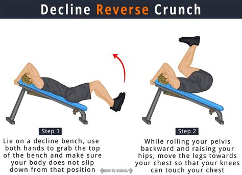 Decline Reverse Crunch On Bench How To Do Benefits Pictures