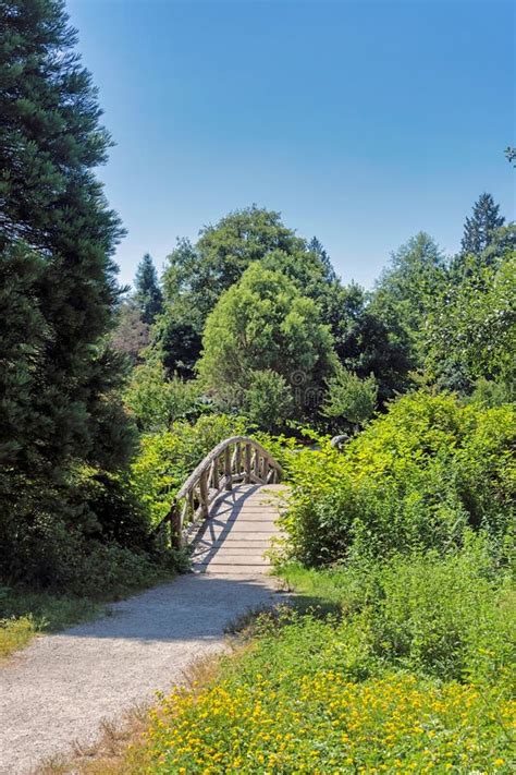 Pathway In A Park To The Wooden Decorative Bridge Over A Creek Stock