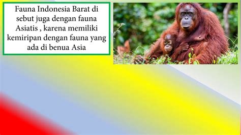 Keanekaragaman Fauna Di Indonesia Youtube