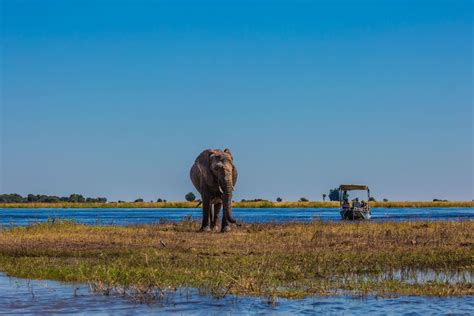 Okavango Delta In Botswana Luxury Travel And Accomodation Ker Downey Africa