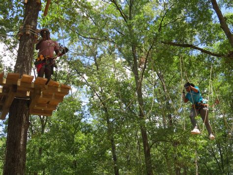 Treetop Quest Greenville Is Upstates First Aerial Adventure Park