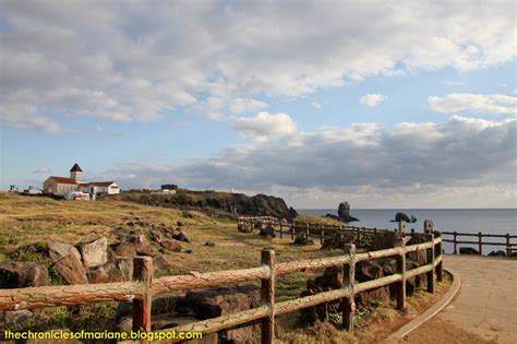 All in Seopjikoji, Jeju - Day 12 in South Korea | The Chronicles of Mariane