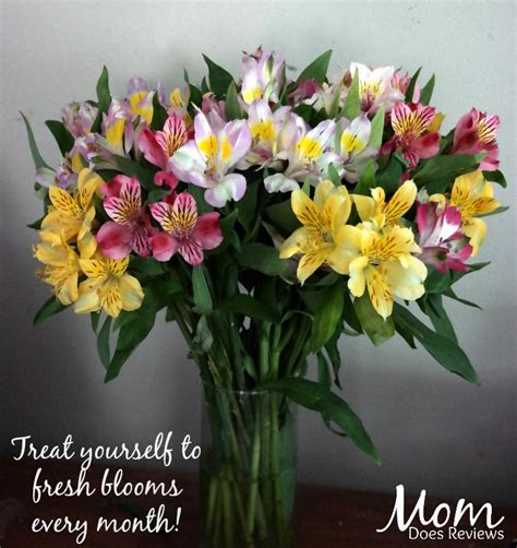 These gorgeous flowers are sure to make them cheer! 5 Reasons Why Beautiful Smiles come from Beautiful Flowers ...