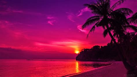 A collection of the top 56 sunset hd aesthetic wallpapers and backgrounds available for download for free. Aesthetic Beach Sunset Wallpapers - Wallpaper Cave