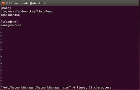 Cara Setting Ip Static Ubuntu Desktop Dari Terminal Programming