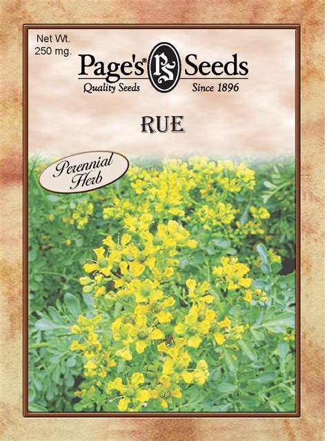 Page Rue The Page Seed Company Inc