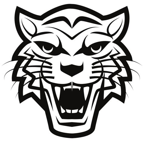 Cartoon Tigre PNG HD PNG Mart