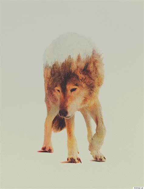 Wild Animals And The Forest Meet In Digitally Merged Photographs Huffpost