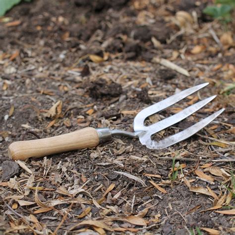 Stainless Steel Gardening Fork The Seed Collection