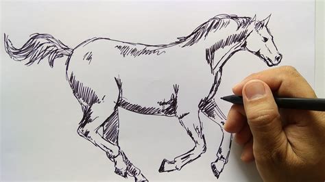 Detail Sketsa Gambar Kuda Koleksi Nomer 3