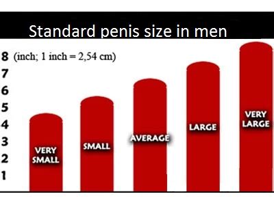 How To Measure The Penis Size Right International Standard Gender