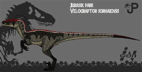 Jurassic Park Vsornaiensis By Hellraptor On Deviantart Jurassic Park Raptor Jurassic Park Logo