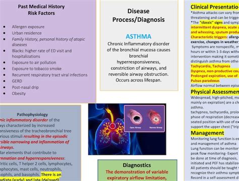 ASTHMA Concept Map And Study Guide Etsy