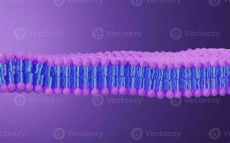 Cell Membrane Structure Background 3d Rendering 27760300 Stock Photo
