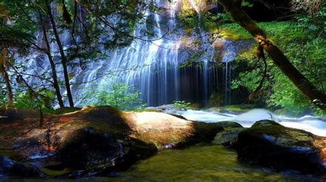 Forest Waterfall Wallpapers 70 Background Pictures
