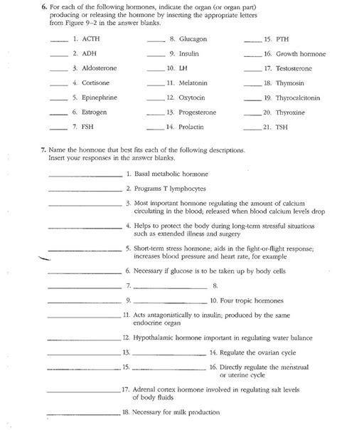 Printable Endocrine System Worksheet