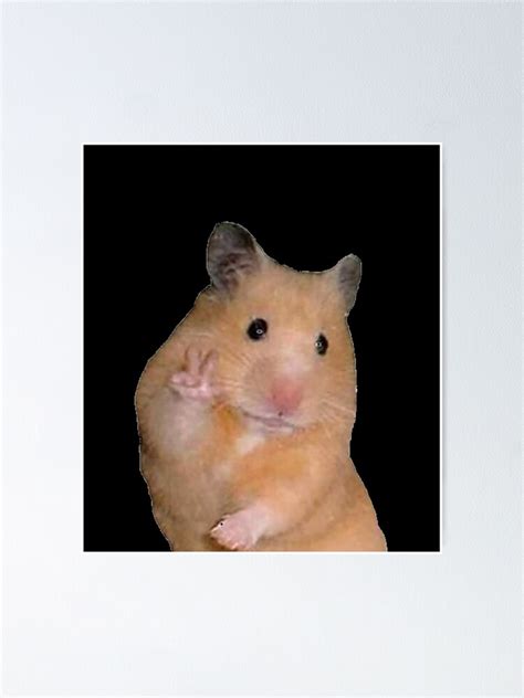 Peace Sign Hamster Meme Poster For Sale By Aidallnnon Redbubble