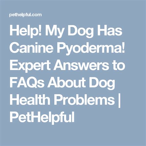 Pyoderma In Dogs Causes Symptoms Diagnosis And Remedies Dog