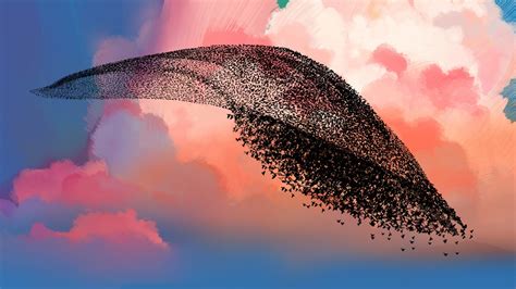 Starlings Move Together To Create The Most Unique Natural Phenomenon In