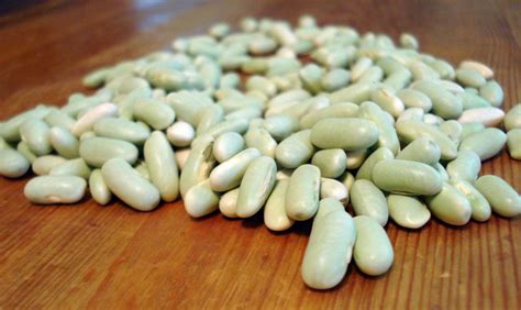 Recettes de flageolets et daccompagnement