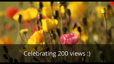 200th View Celebration Youtube
