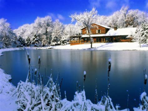 Free Download Free Winter Scene Wallpapers 2560x1920 For Your Desktop