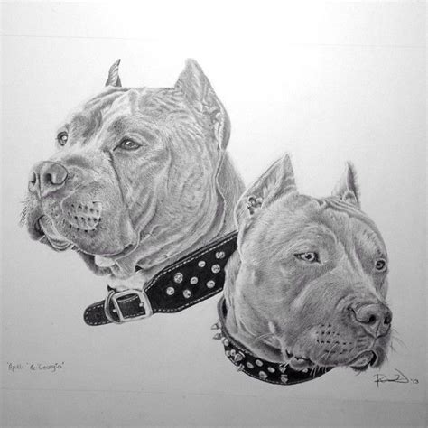 Pitbulls Pitbull Art Pitbull Drawing Dog Tattoos
