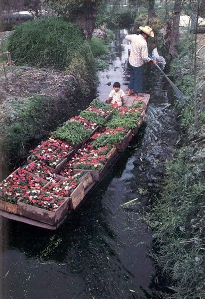 Pin On Valley Of Mexicochinampas