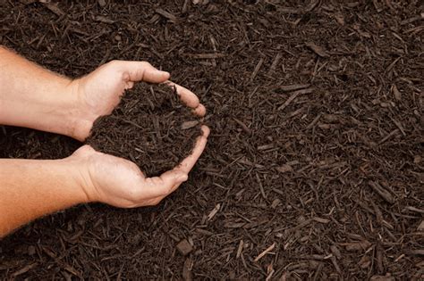 How To Make The Best Mulch For A Vegetable Garden Bigrentz