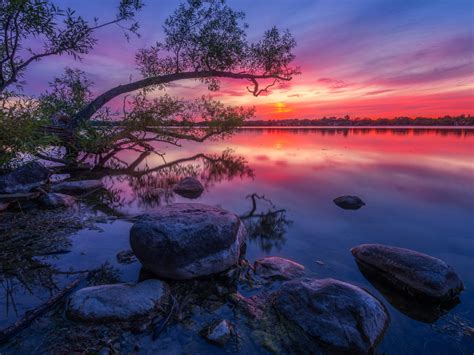 Wilcox Lake Ontario Canada Red Sunset Dusk Wood Willow Stone Reflection