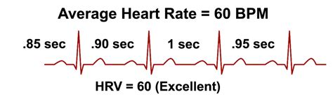 What Is Heart Rate Variability Hrv Sweetwater Health