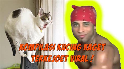 02 / 08 / 2021 11:21. KUCING KAGET TERKEJOET NGAKAK KOCAK VIRAL - YouTube