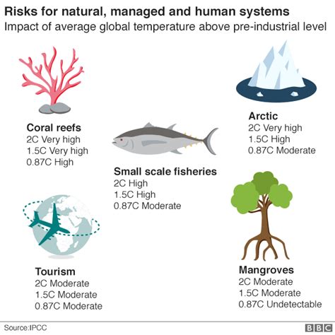 Final Call To Save The World From Climate Catastrophe Bbc News