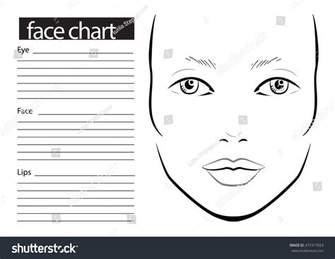 Face Chart Makeup Artist Blank Template Vector Royalty Free Stock