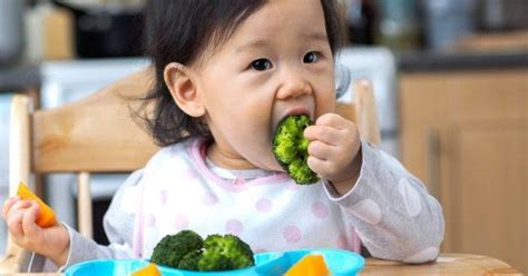 Ketika si kecil sudah mulai mpasi. Menu MPASI 9 bulan - Panduan dan resep lengkap MPASI untuk ...