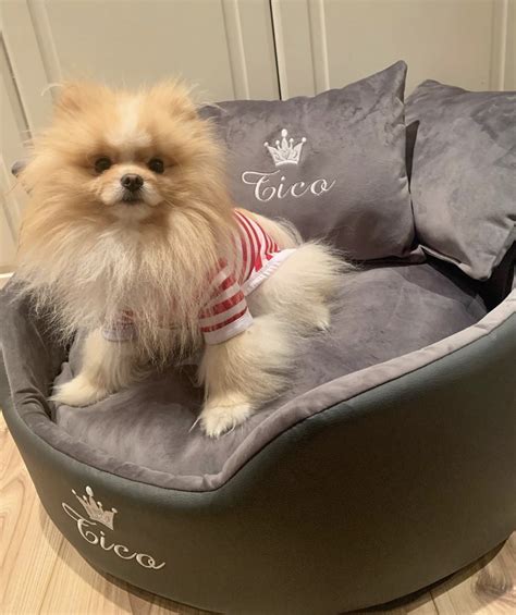 Luxury Grey Personalised Dog Bed Set Available In Any Size Unique