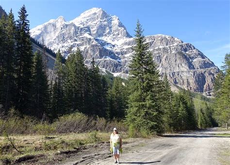 Yoho National Park Kicking Horse Campground Canadáfield Opiniones