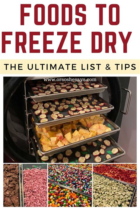 Foods You Can Put In Your Freeze Dryer ~ The Ultimate List And Tips Or