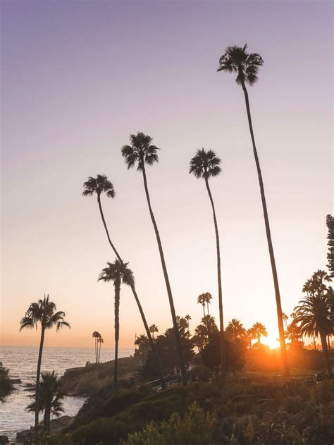 Sunset In Heisler Park Laguna Beach Los Angeles California