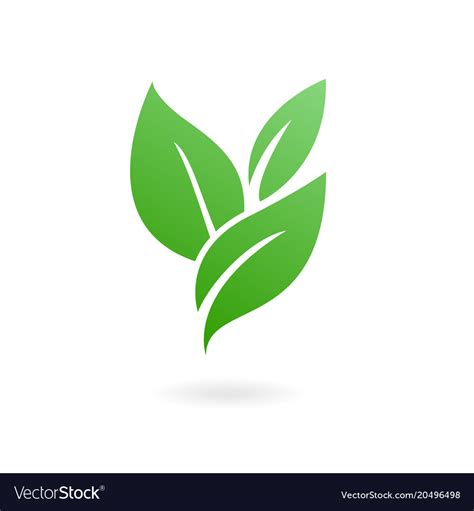 Flat Leaves Icons Royalty Free Vector Image Vectorstock