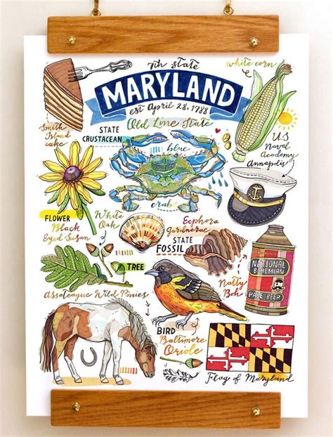 Maryland Print State Symbols Illustration Old Line State Home Decor