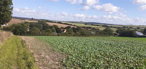 Cranborne Chase Cider And A Visit To Myncen Farm Cranborne Chase