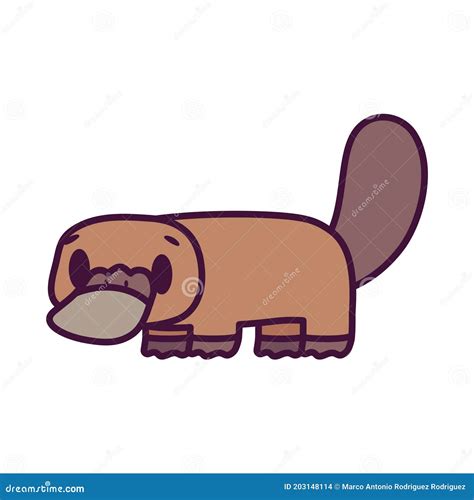 Isolated Cartoon Of A Platypus Stock Vector Illustration Of Brown