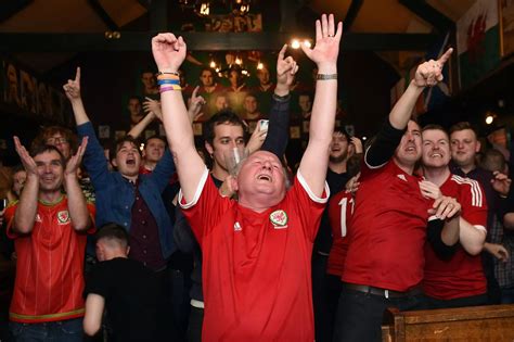 Wales Players And Fans Celebrate Qualifying For Euro 2016 Irish