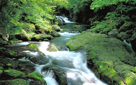 フリー画像 自然風景 河川の風景 森林 山林 緑色 グリーン 日本 free hot nude porn pic gallery