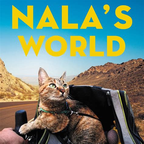 Internet Nirvana Nala The Cat Finds Cycle Touring Fame Laptrinhx News
