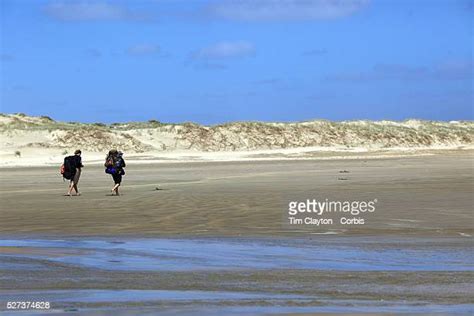 Ninety Mile Beach New Zealand Photos And Premium High Res Pictures